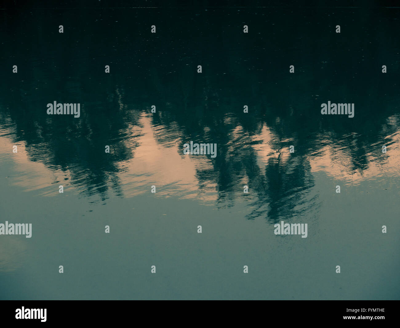 Reflection of palm trees in water Stock Photo - Alamy