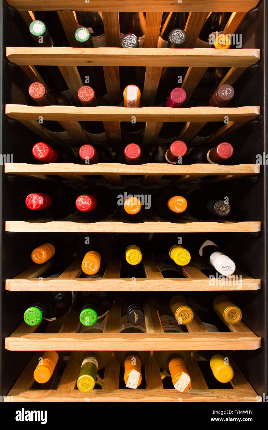 Wine cooler full of wine bottles Stock Photo