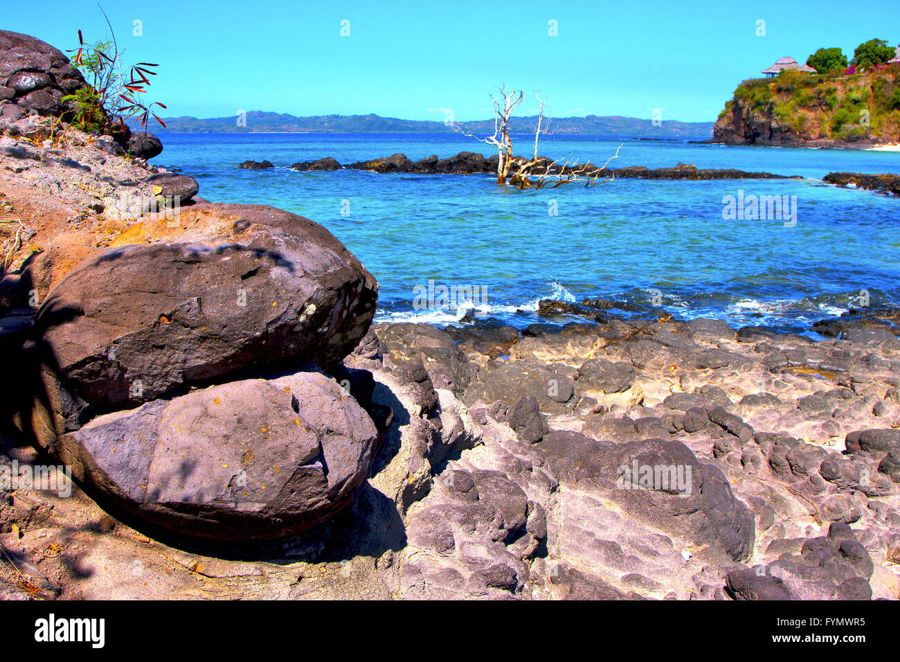 andilana beach seaweed in indian ocean Stock Photo