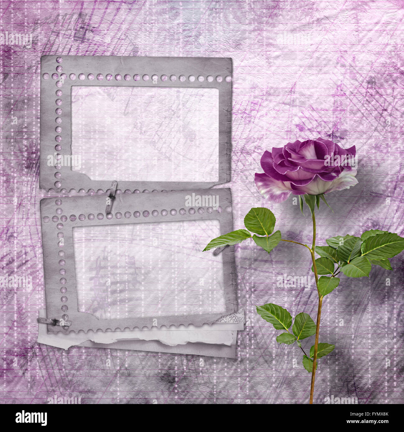 Beautiful painted rose with frames for congratulations or invitation on ...