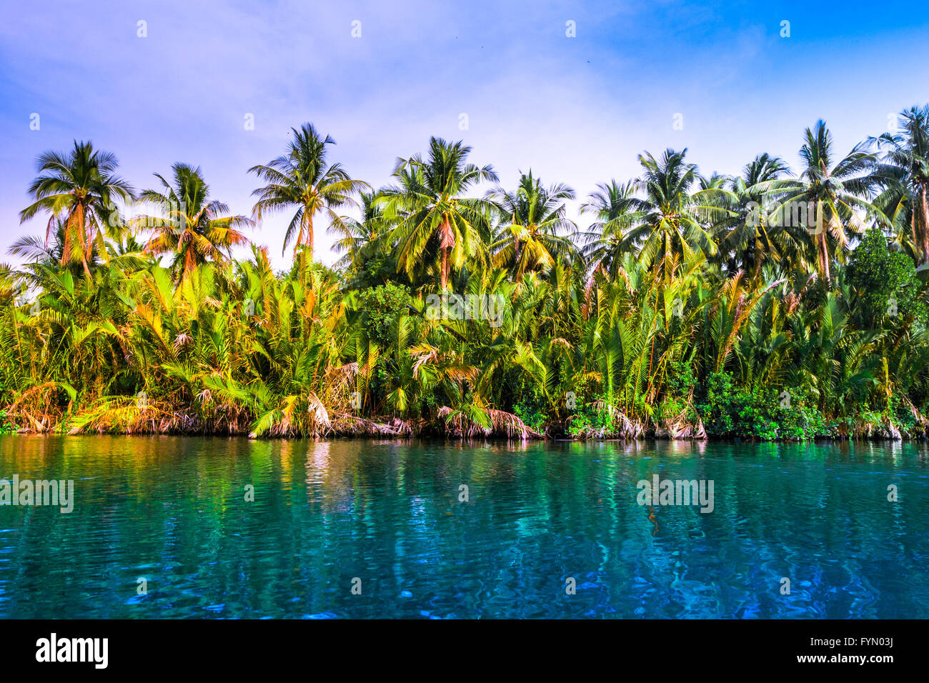 Palm trees on sea shore at beautiful sunny day Stock Photo - Alamy