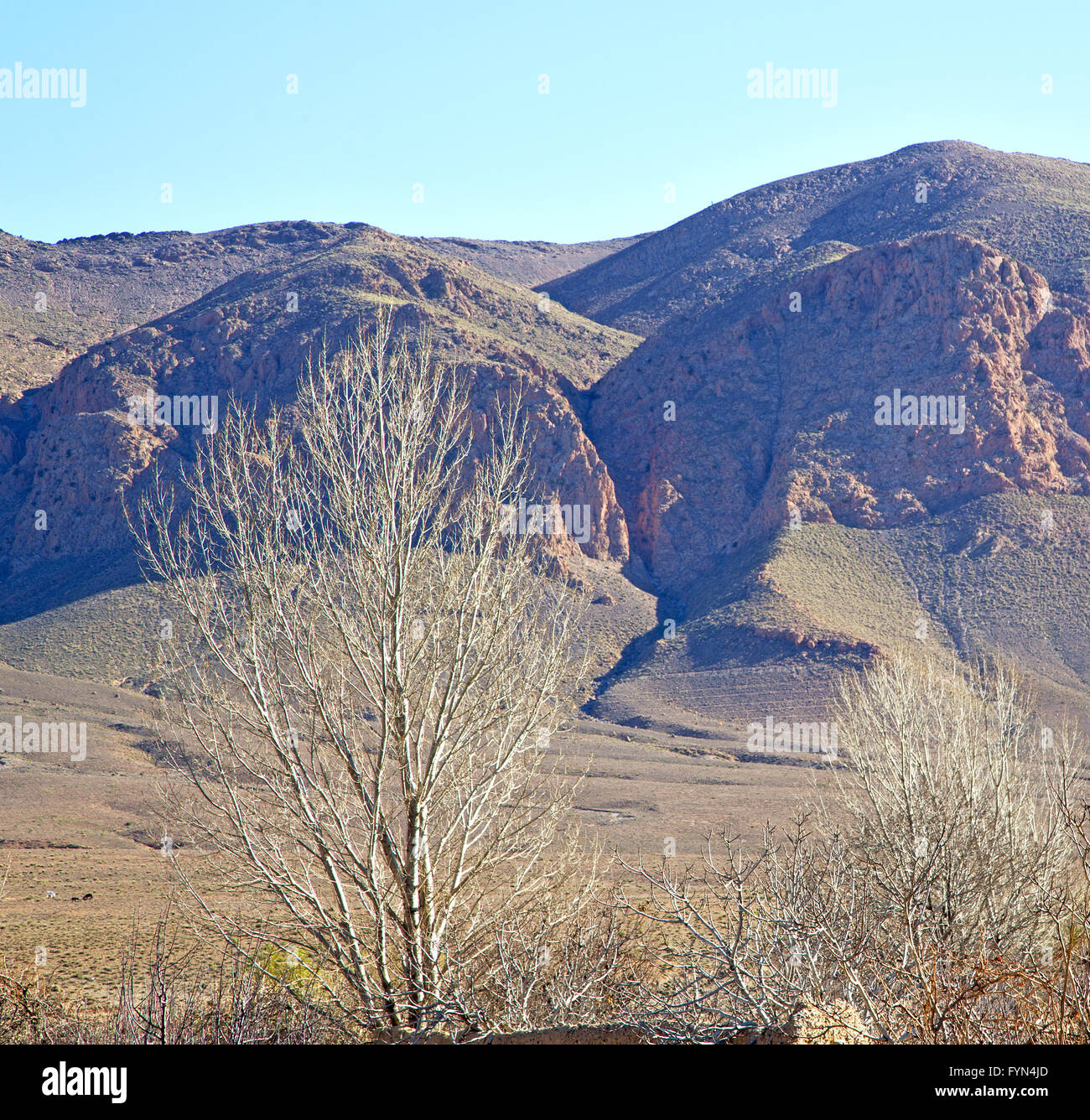 valley in   africa morocco the atlas dry mountain ground isolated hill Stock Photo