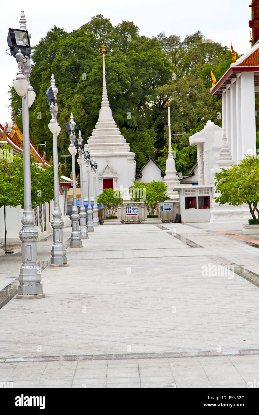 pavement gold in bangkok thailand street lamp tree Stock Photo - Alamy