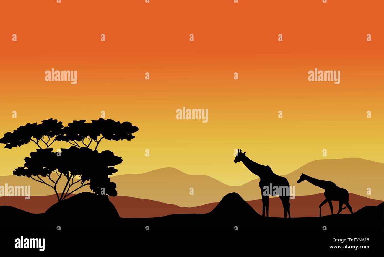 Illustration of giraffes on the hills Stock Vector Image & Art - Alamy