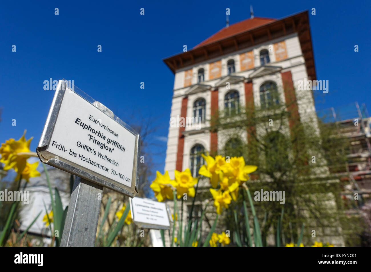 Wien, Universität für Bodenkultur (Boku), Gregor-Mendel-Haus Stock Photo