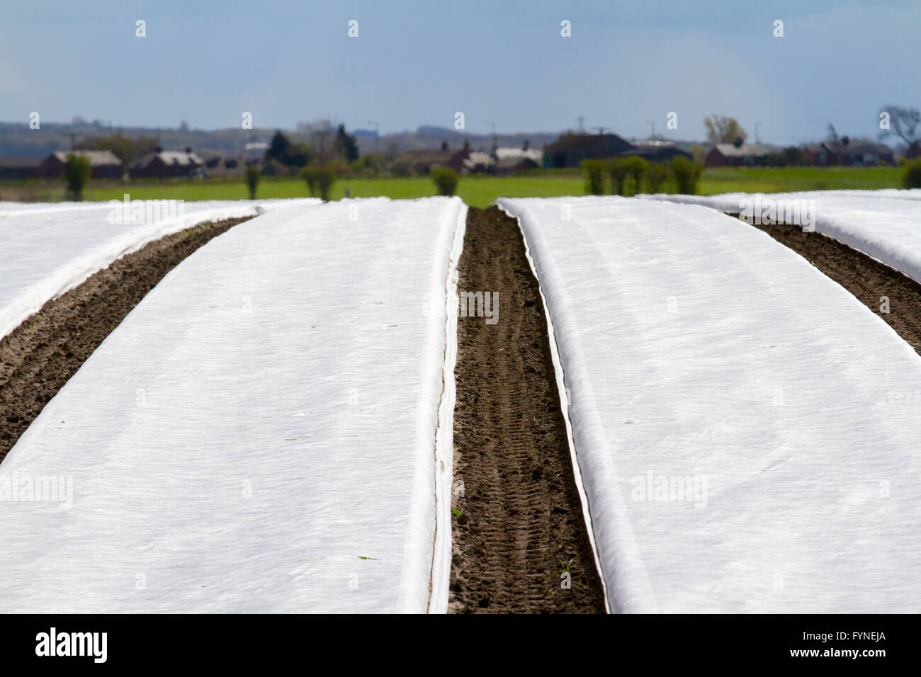 Agricultural fleece covering early crops. Using satellite navigation ...