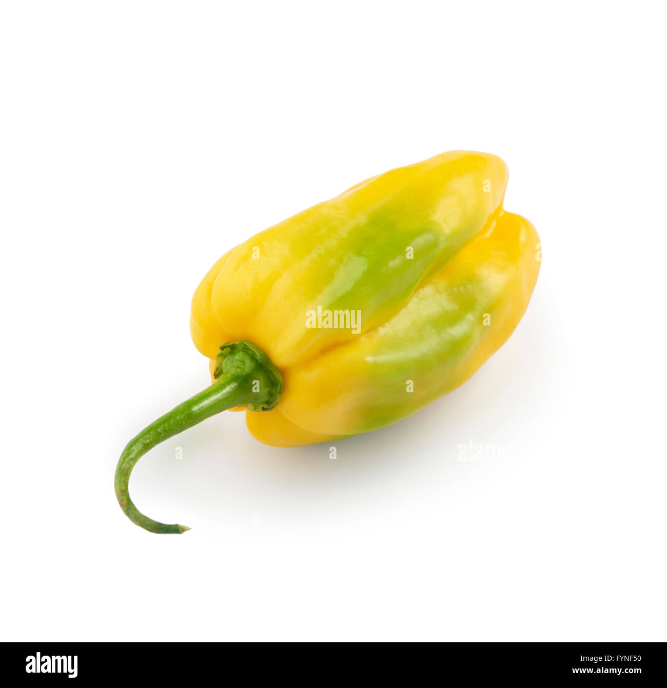 yellow and green habanero pepper on a white background Stock Photo Alamy