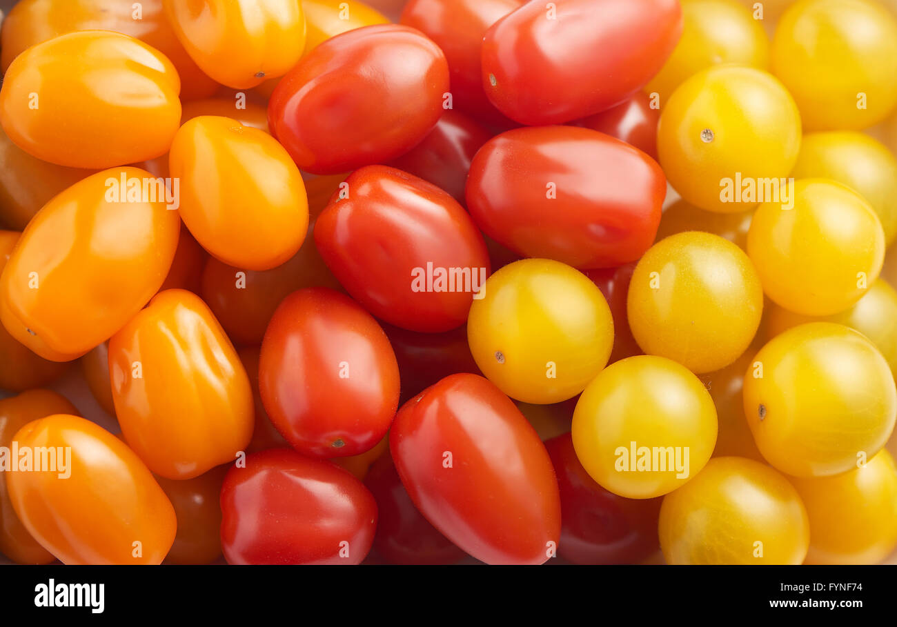 Mixed varieties of cherry tomatoes, red, yellow and orange, arranged in lines viewed from overhead in a full frame view Stock Photo