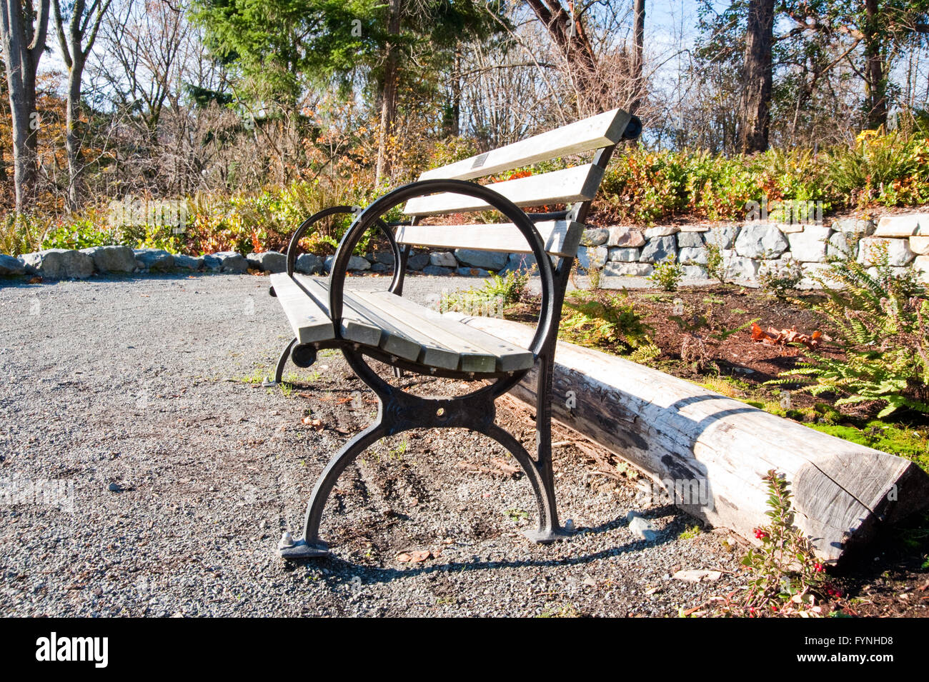 Bench in the Washington Park Arboretum Stock Photo Alamy