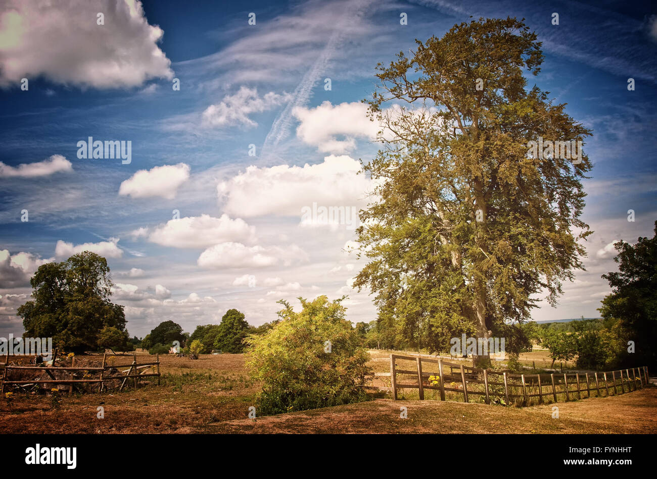 Tree edged field hires stock photography and images Alamy