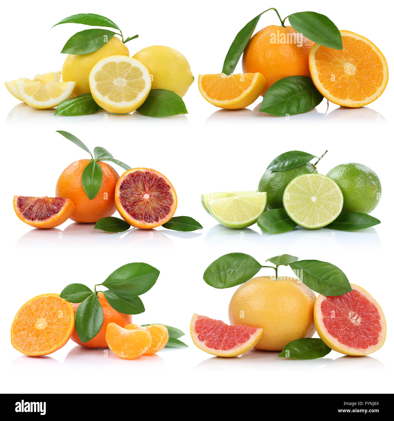 Collection of oranges mandarins lemons grapefruit fruits isolated on a white background Stock Photo