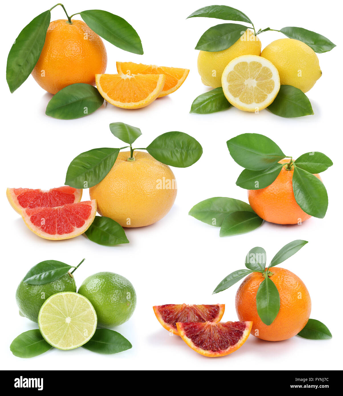 Collection of oranges mandarin lemon grapefruit organic fruits isolated on a white background Stock Photo