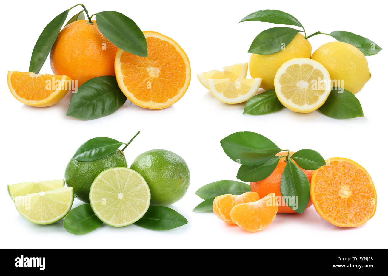 Collection of oranges lemons fruits isolated on a white background Stock Photo