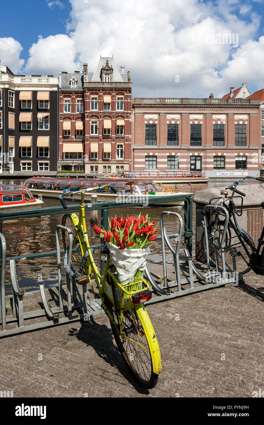 bicycle with tulips, Amsterdam, Netherlands Stock Photo