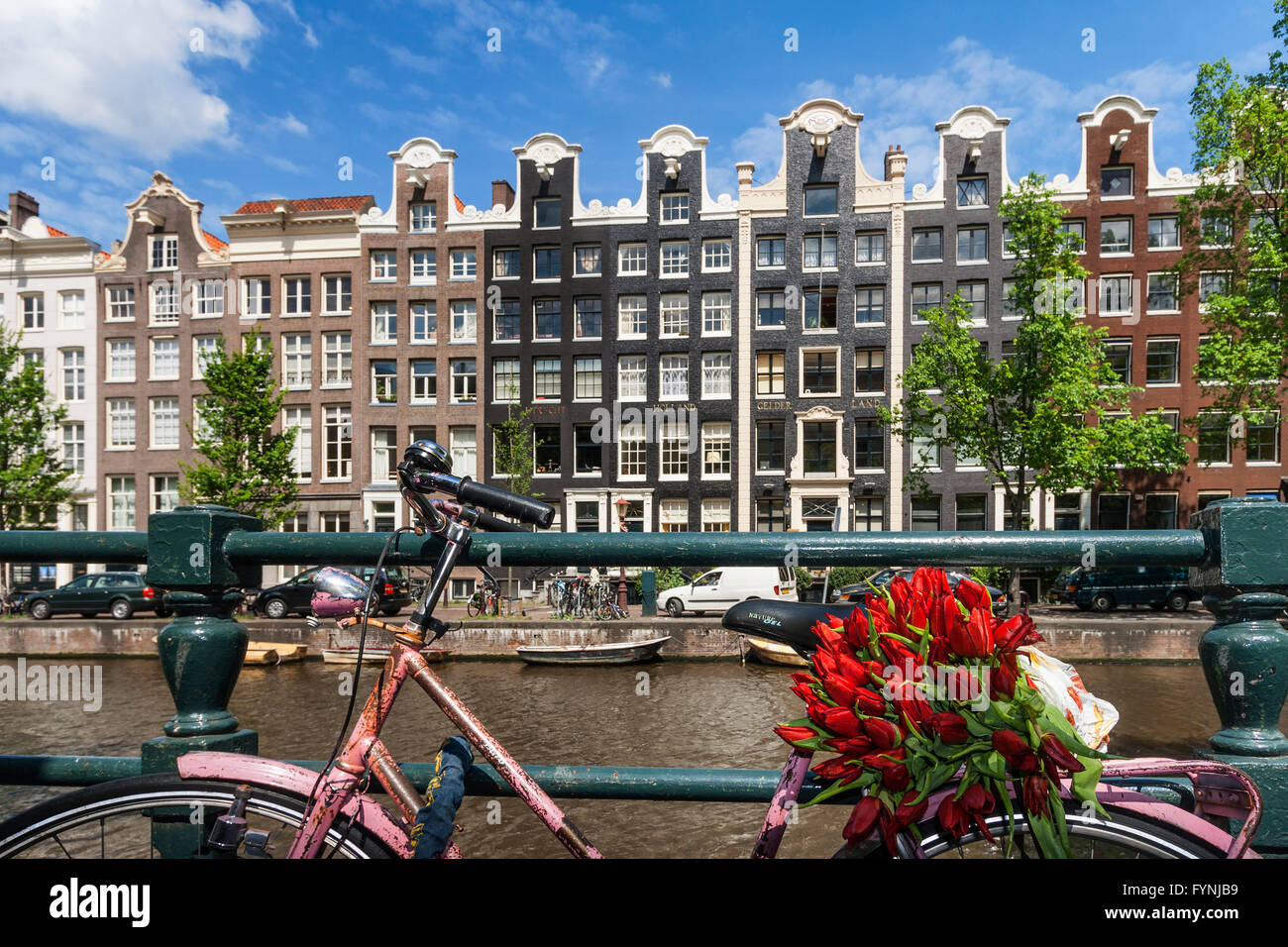 Amsterdam Single Gracht bicycle with tulips Amsterdam, Netherlands Stock Photo