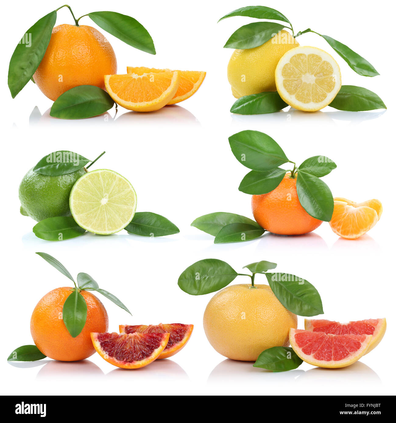 Collection of oranges mandarin lemon grapefruit fruits isolated on a white background Stock Photo
