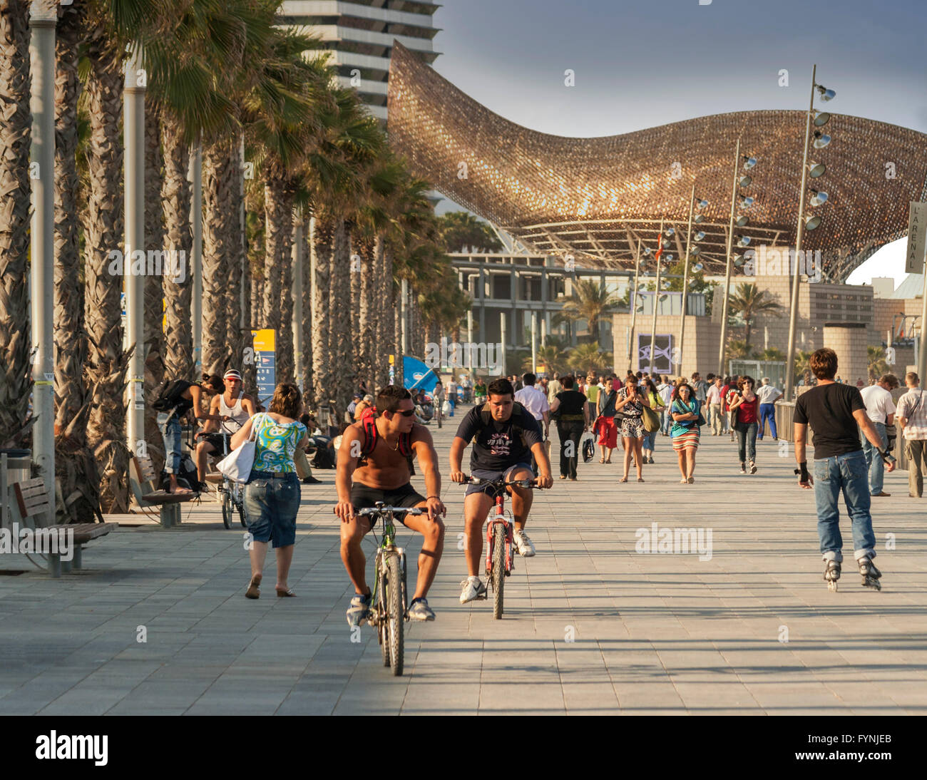 People cycling along the Passeig Maritim, The fish sculpture by Frank Gehry in the background, Barceloneta, Barcelona Spain,  Eu Stock Photo