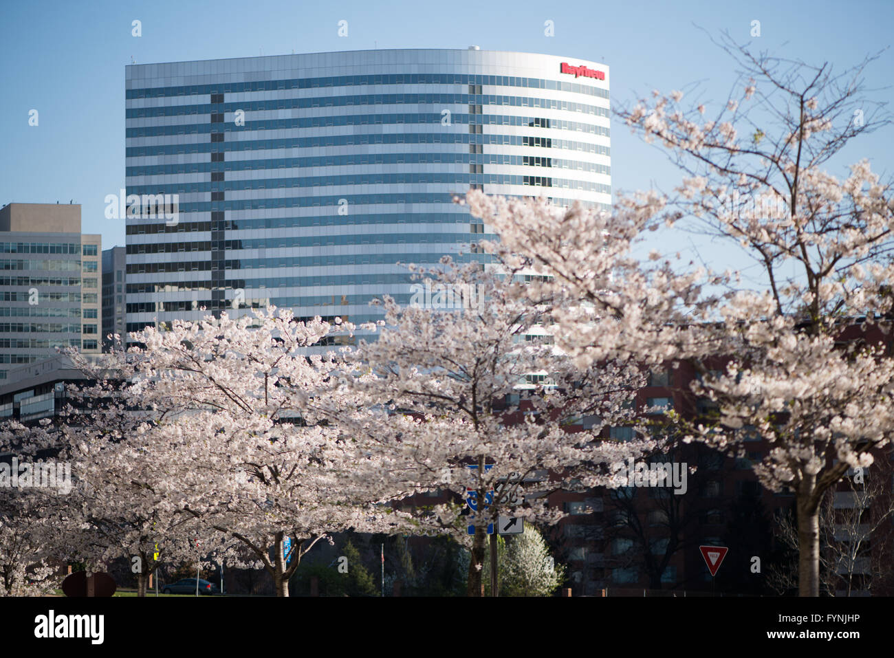 The prominent Raytheon building in Rosslyn, Arlington, Virginia, just  across the Potomac River from Washington DC Stock Photo - Alamy