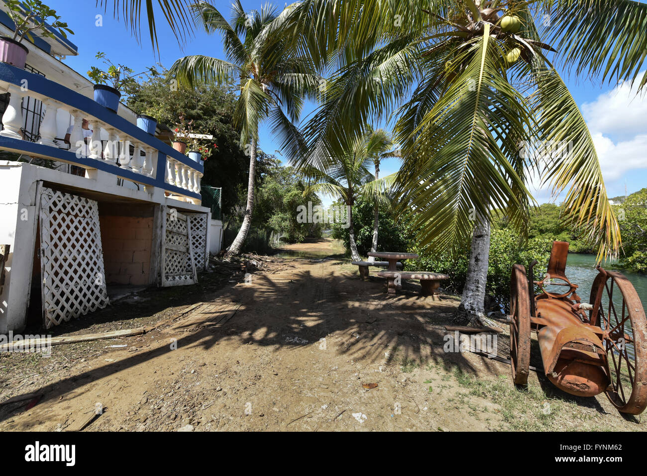 A dirt path near the water with a rusty old cannon and a palm tree on the island of Culebra in Puerto Rico Stock Photo