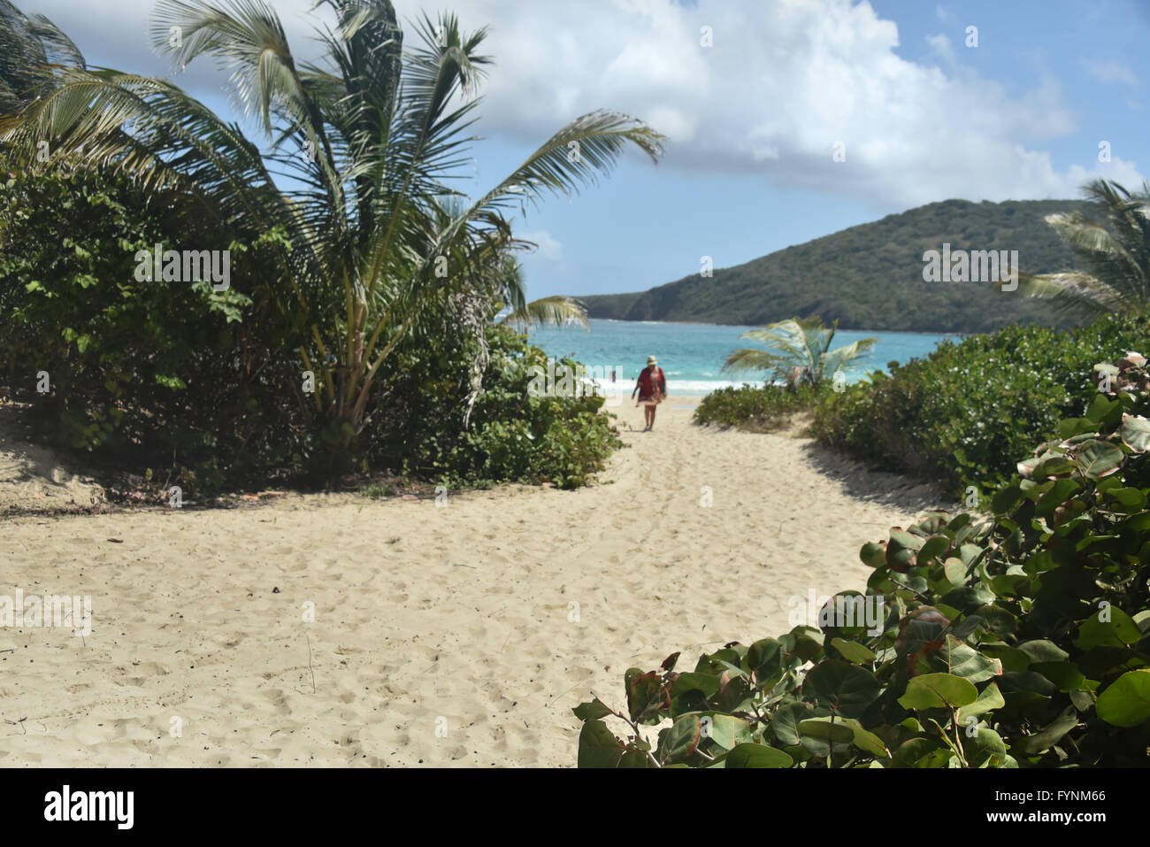 A woman in the distance walking a path to a secluded beach.  Taken at the popular Flamenco Beach on Culebra Island, Puerto Rico Stock Photo