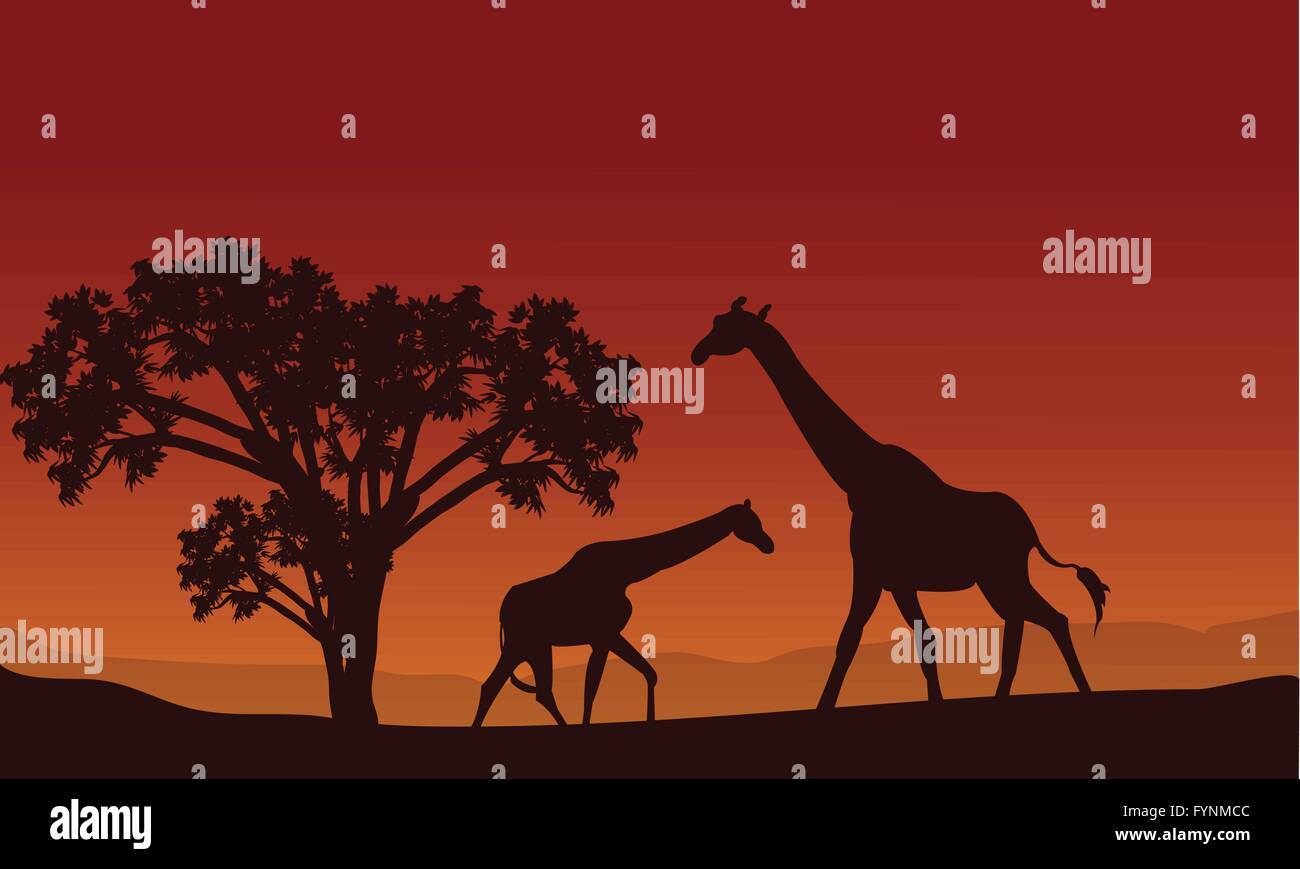 Two giraffe silhouette scenery Stock Vector Image & Art - Alamy