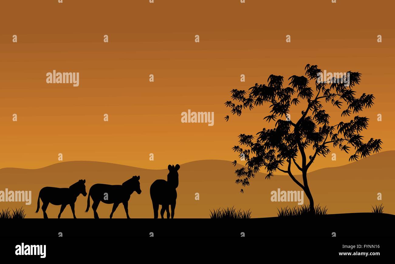 Silhouette of zebra in fields africa Stock Vector Image & Art - Alamy