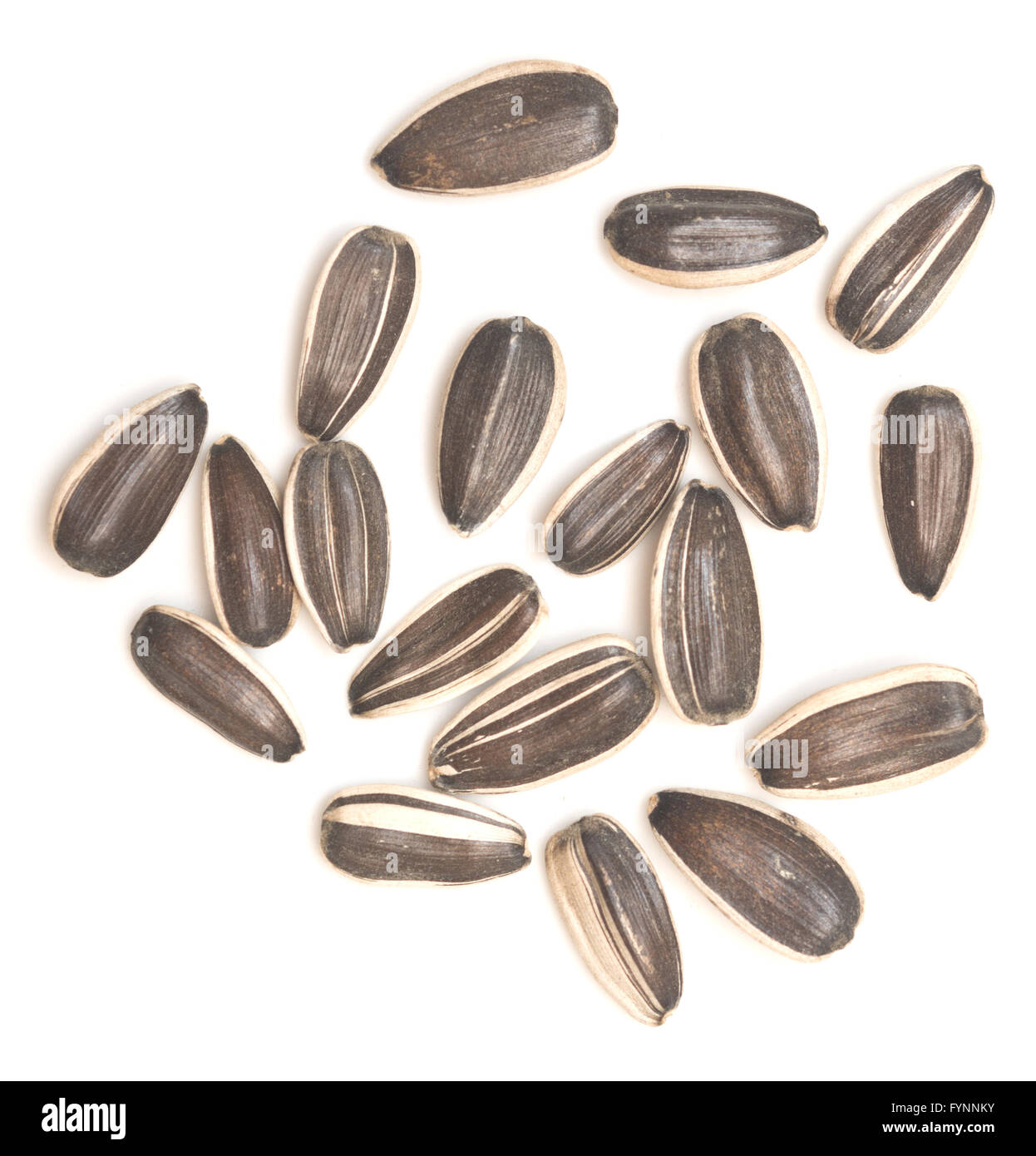 sunflower seeds isolated on white background Stock Photo - Alamy