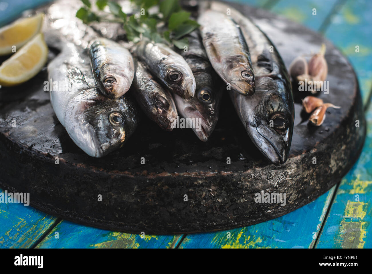 Raw fish. Sea bream, sea bass, mackerel and sardines. Blue wooden background Stock Photo