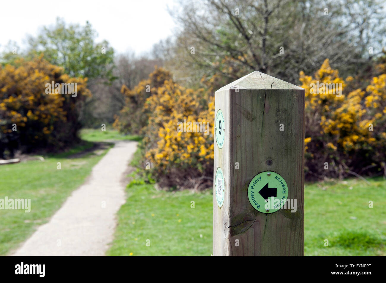Sign posts of the area in nature reserve Bentley Priory Stock Photo