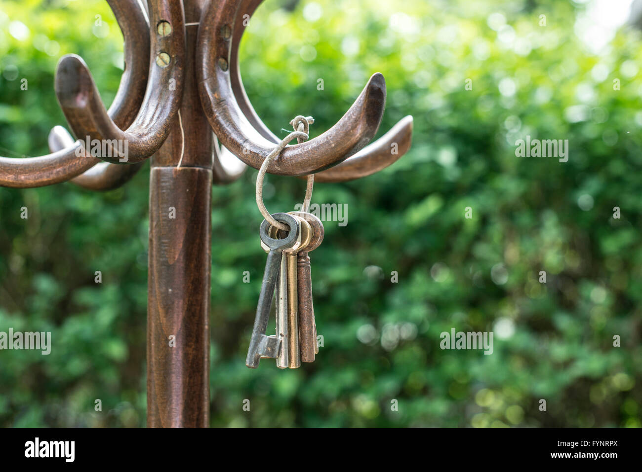 Bundle of old keys on a vintage wooden hanger in the garden Stock Photo