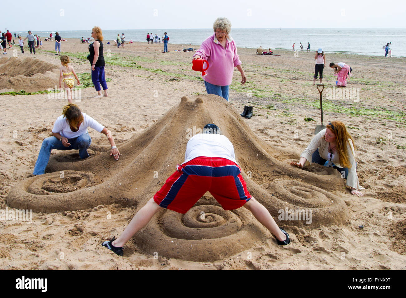 Witness The Wonder Giant Sand Octopus Etched On A Cornwall Beach - gljgtki