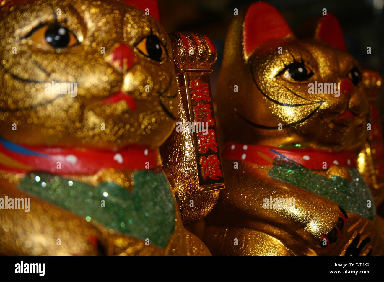 Golden waving cat hi-res stock photography and images - Alamy