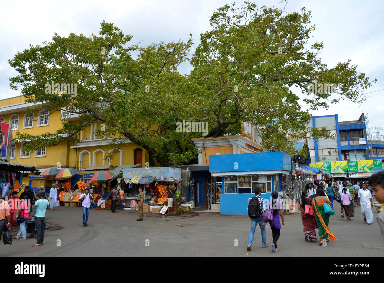 bodhiraya-tempel-cross-street-pettah-colombo-sri-lanka-FYPB64.jpg