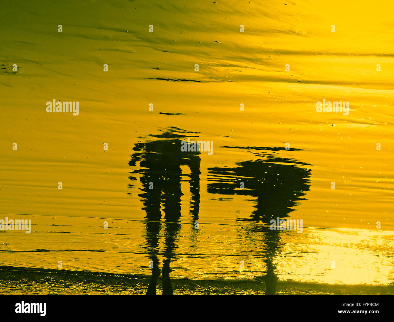 Human in water hi-res stock photography and images - Alamy