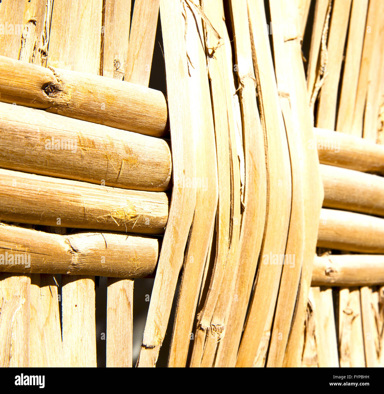 texture bamboo in morocco africa brown natural line closeup Stock Photo