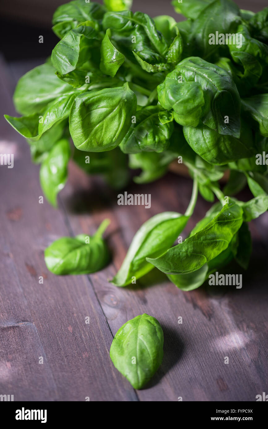 Fresh organic basil Stock Photo - Alamy