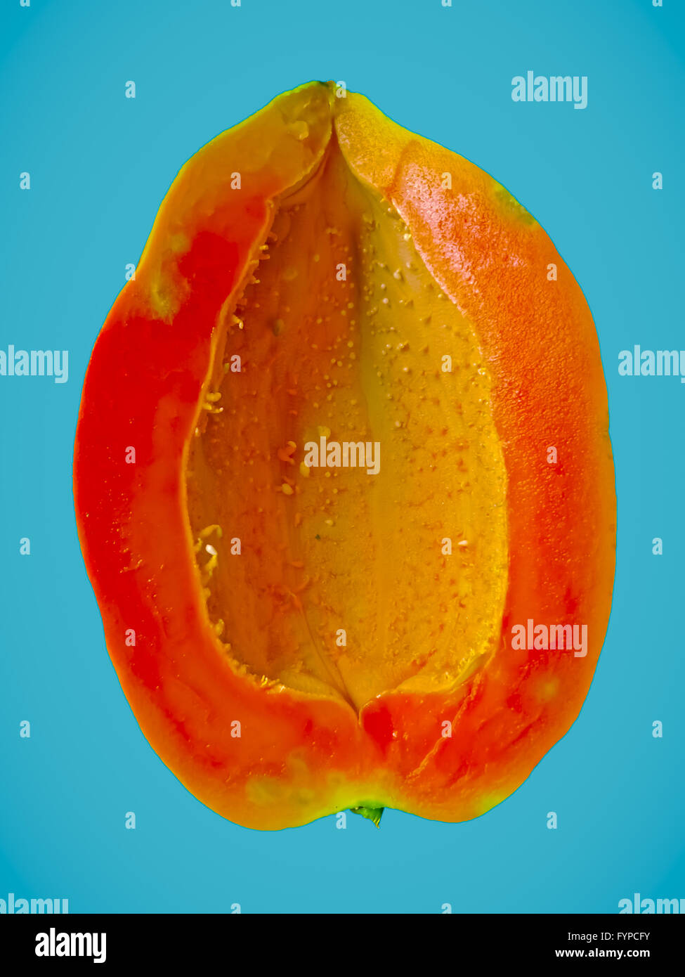 Papaya Stock Photo