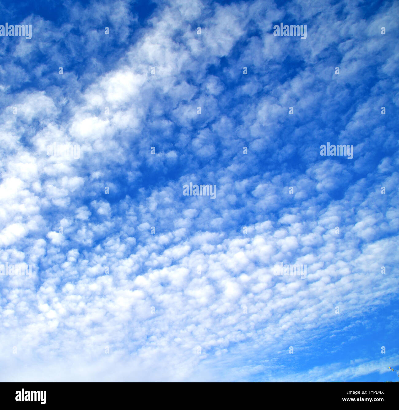 in the blue sky white soft clouds and abstract background Stock Photo ...
