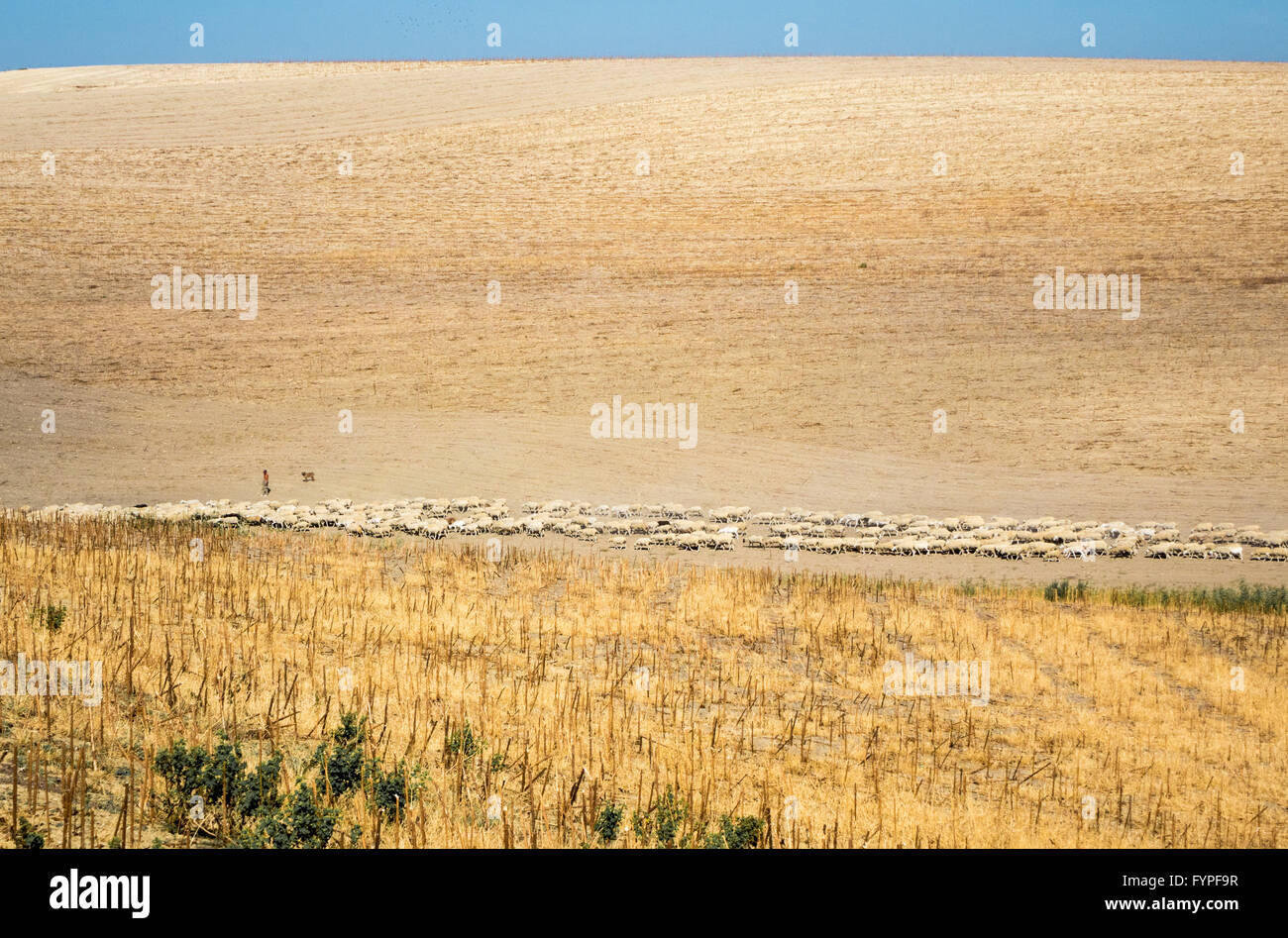 Man farmer farming lead hi-res stock photography and images - Alamy