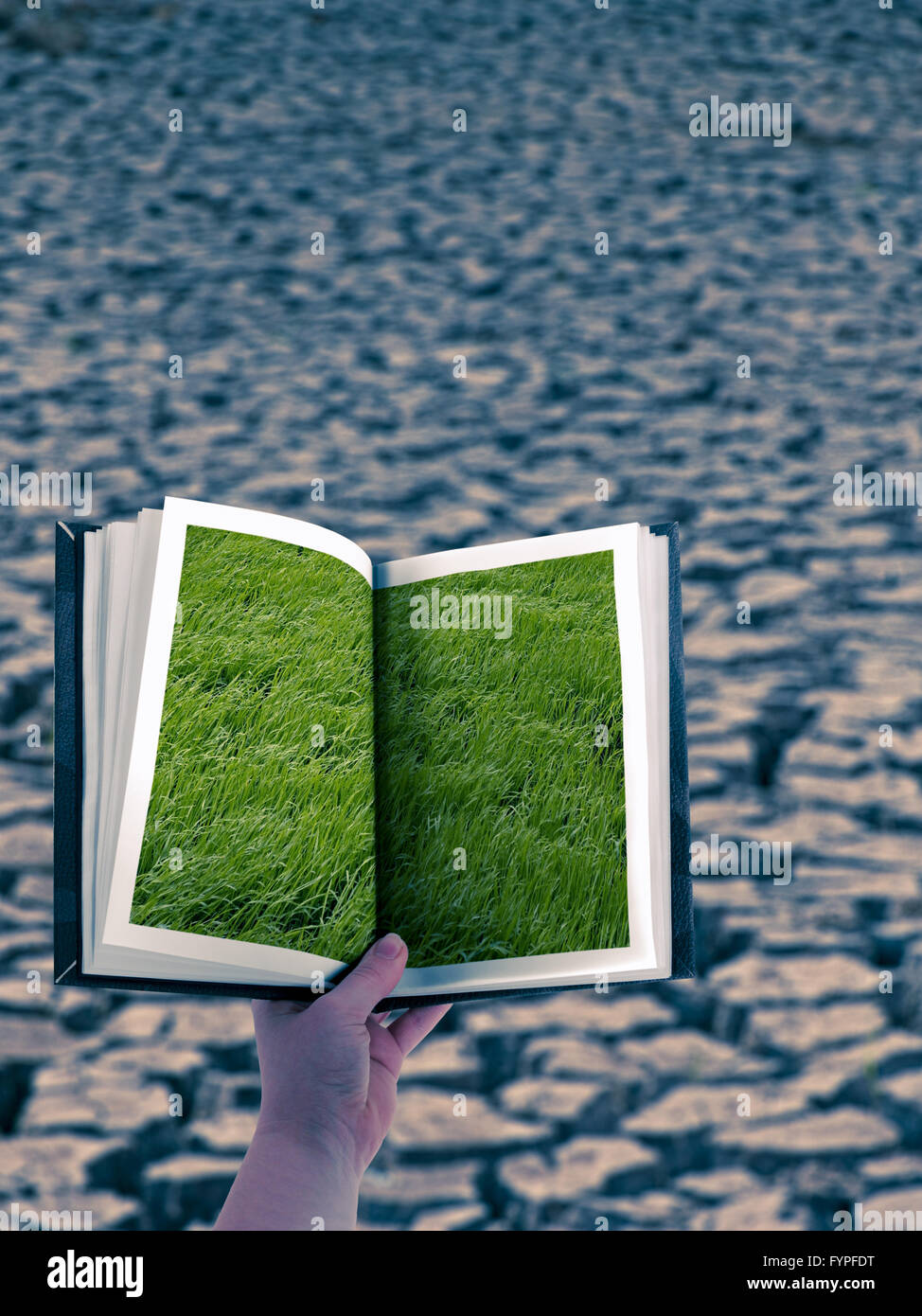 Natural Disaster, Concept Stock Photo Alamy