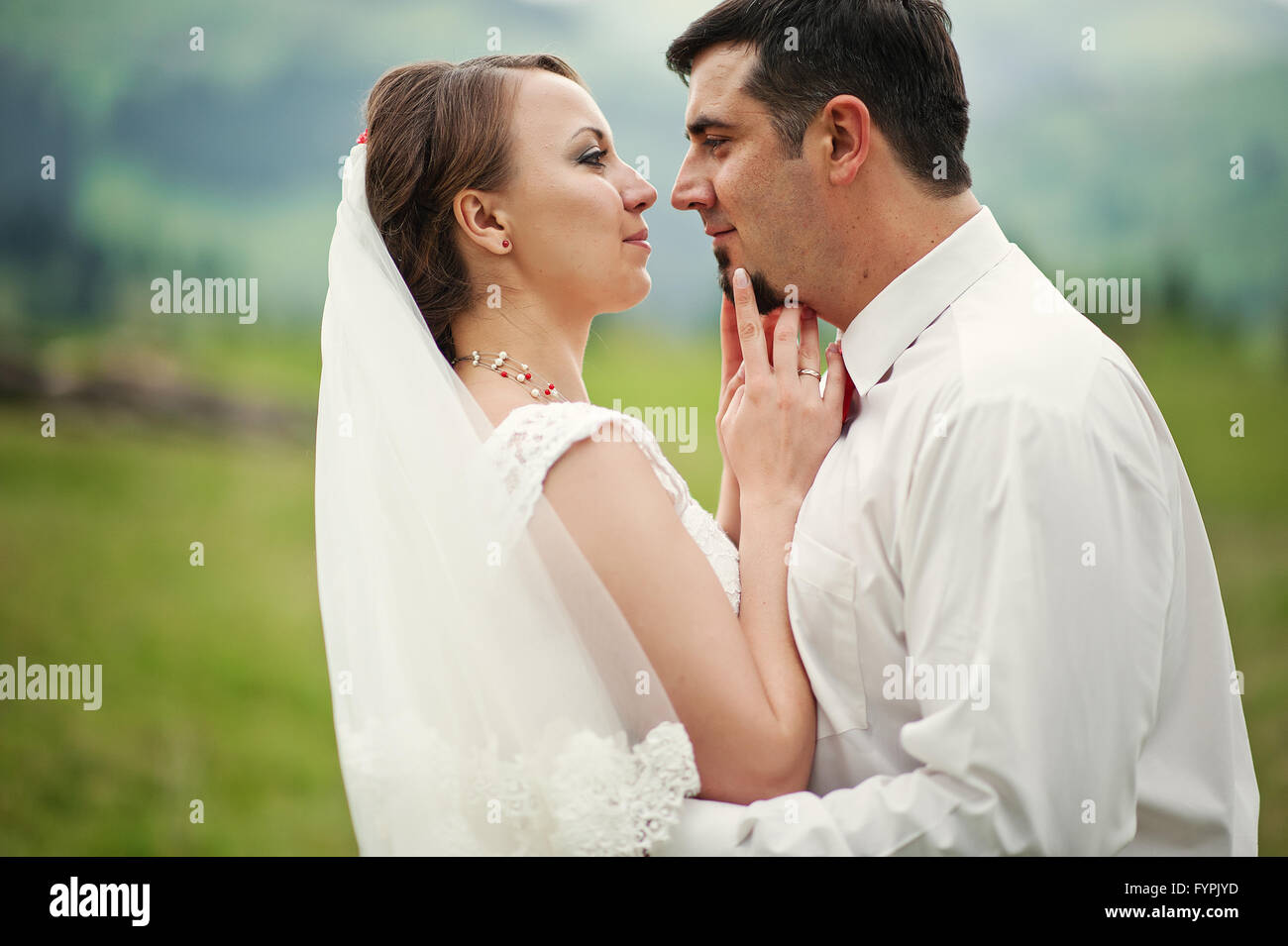 wedding couple close up Stock Photo Alamy