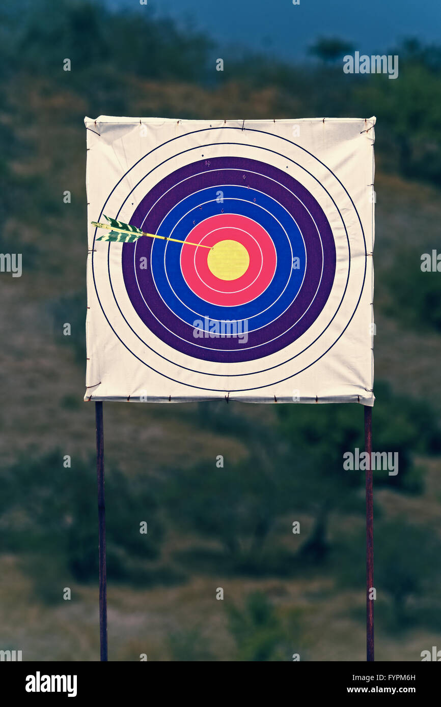 Archery board and arrows hires stock photography and images Alamy