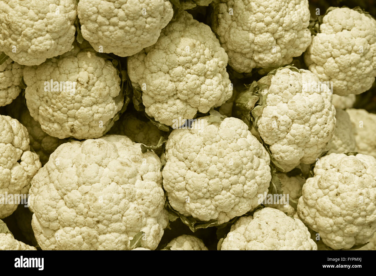 Cauliflower, Brassica oleracea var. botrytis Stock Photo