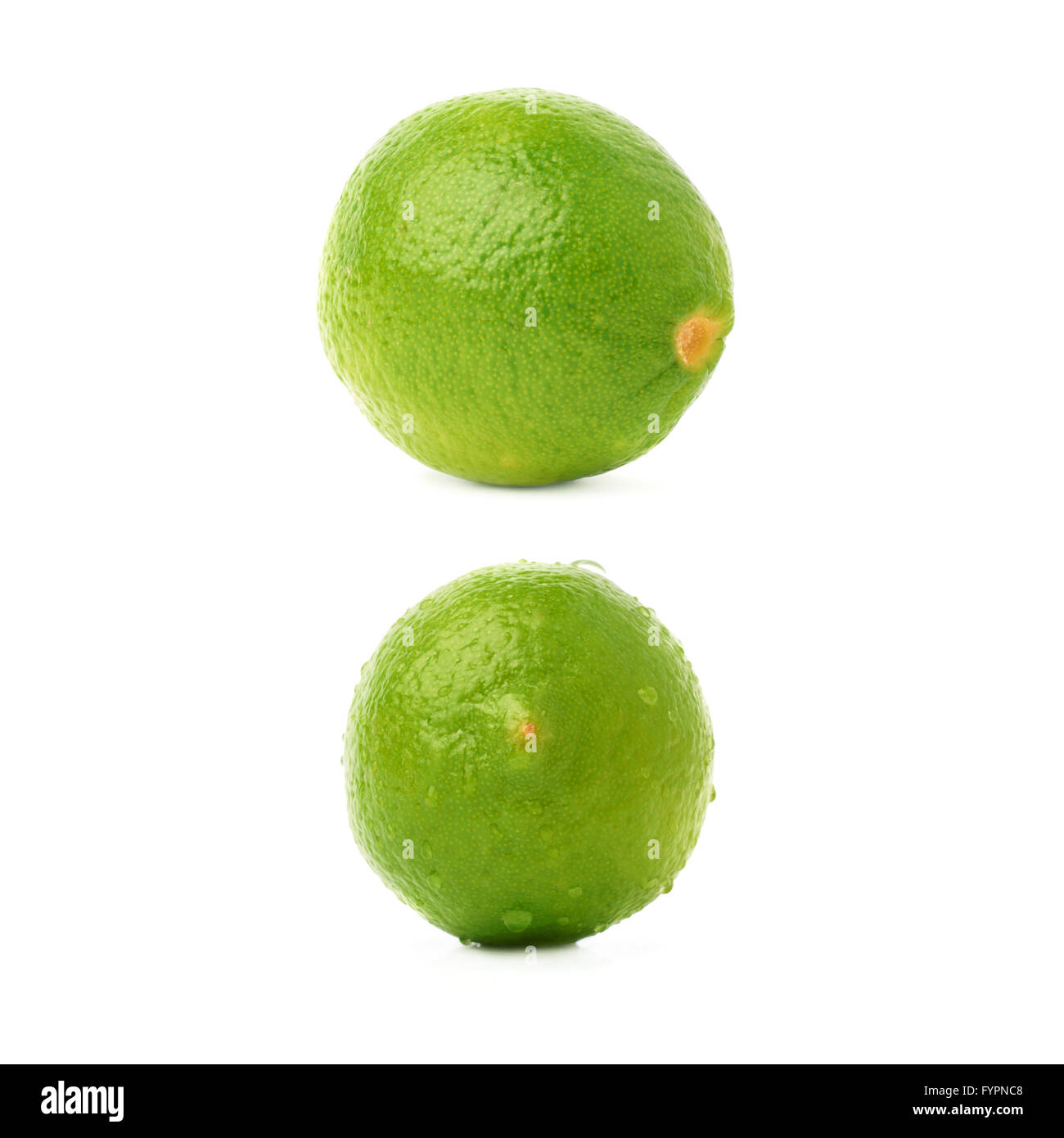Set of two single limes in different compositions and foreshortenings ...