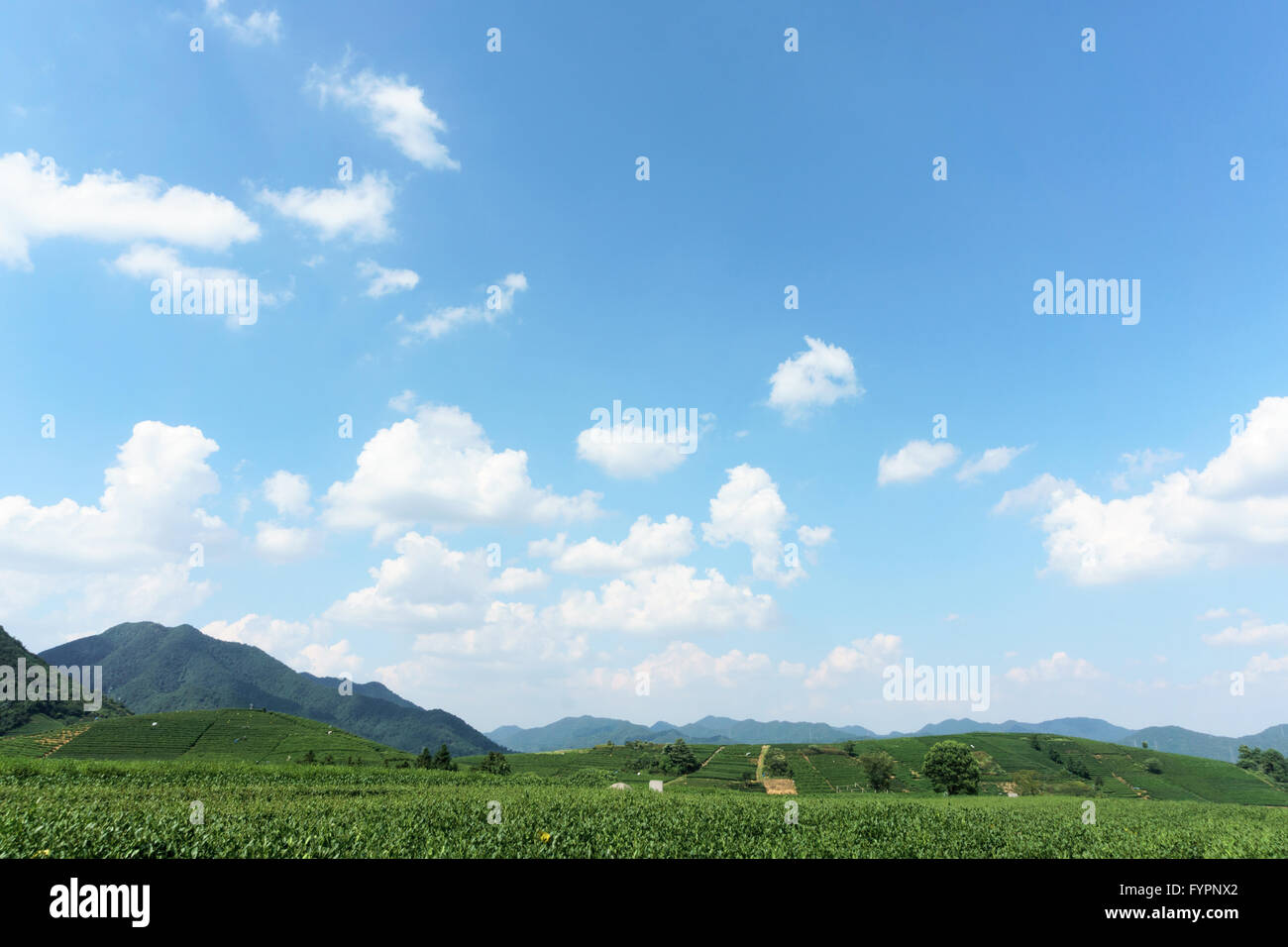 village under clear, blue sky and white clouds Stock Photo - Alamy