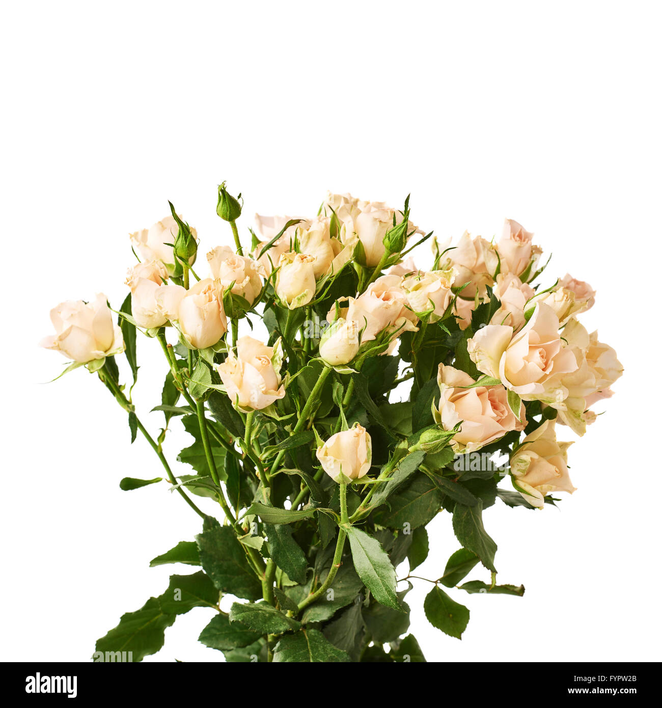 Bouquet of roses over white isolated background Stock Photo - Alamy