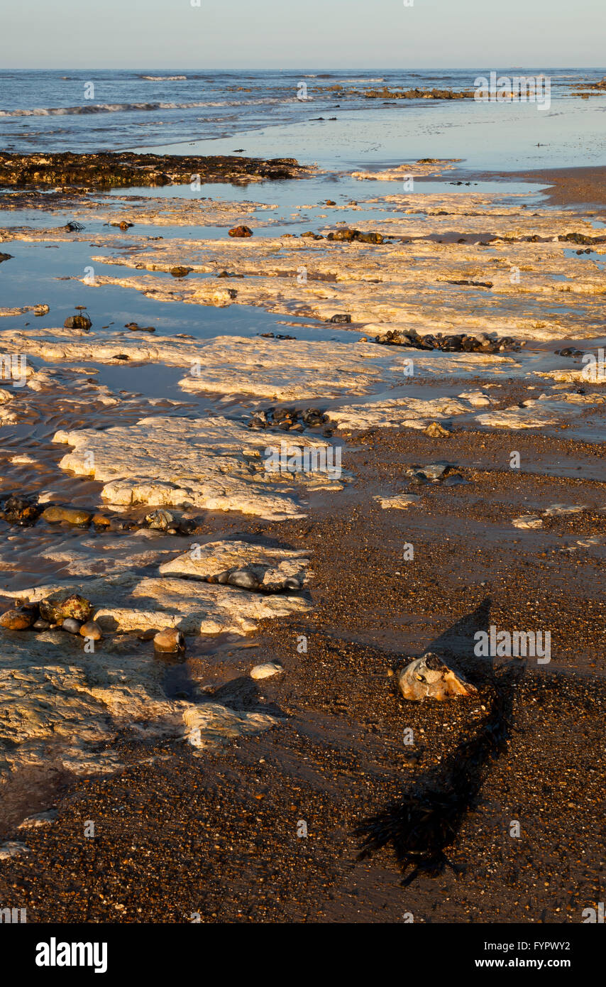 West Runton beach in evening light at low tide in north Norfolk, England, UK Stock Photo Alamy