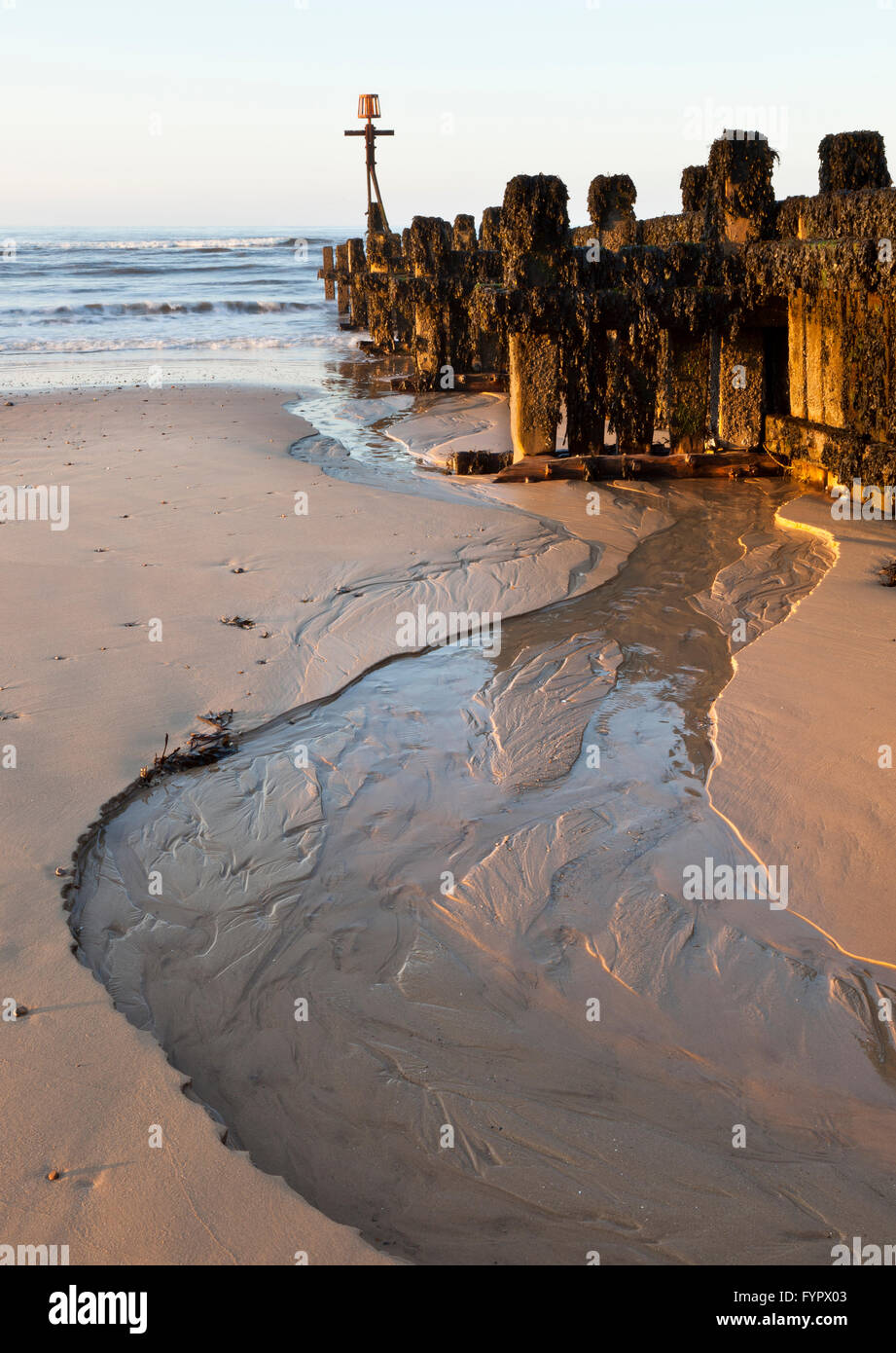 West Runton beach in evening light at low tide in north Norfolk, England, UK Stock Photo