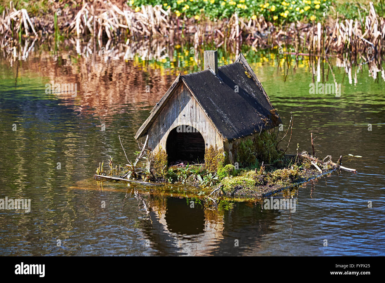 Old duck house made of wood on a raft on a pond Stock Photo