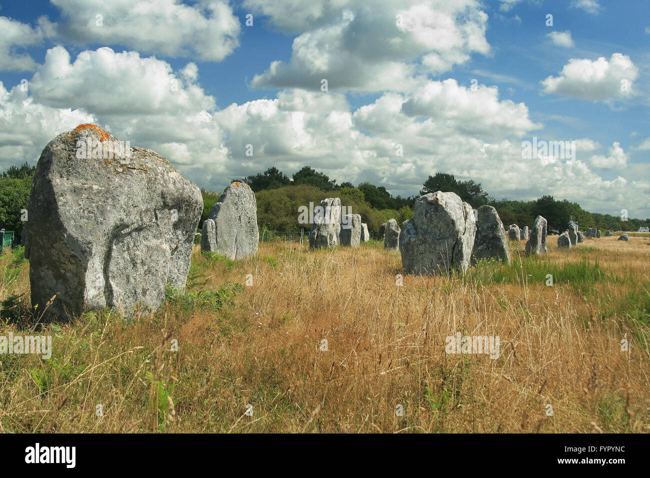 Paleolithic prehistory hi-res stock photography and images - Alamy